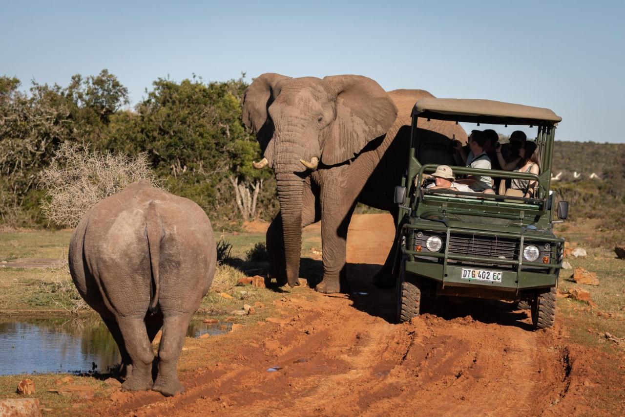 Pumba Private Game Reserve Grahamstown Eksteriør billede
