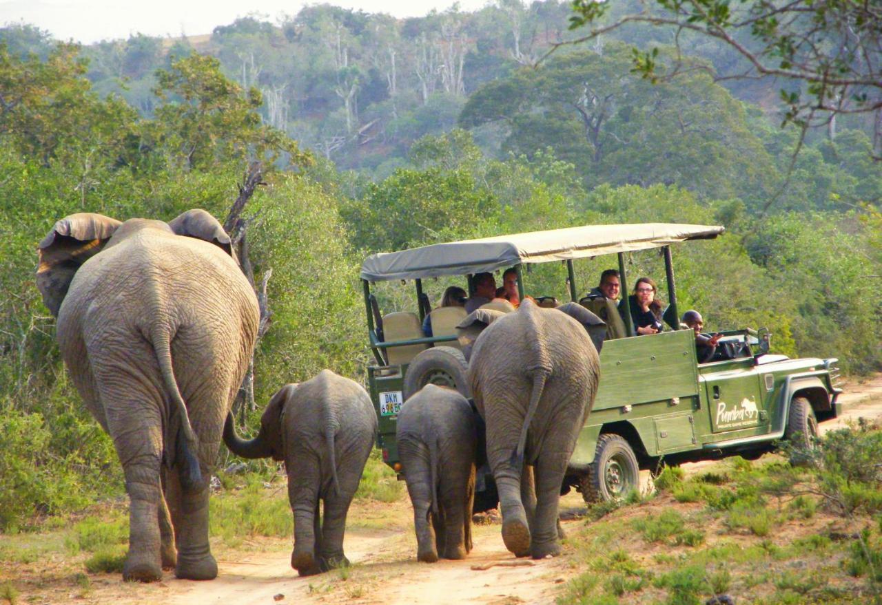 Pumba Private Game Reserve Grahamstown Eksteriør billede