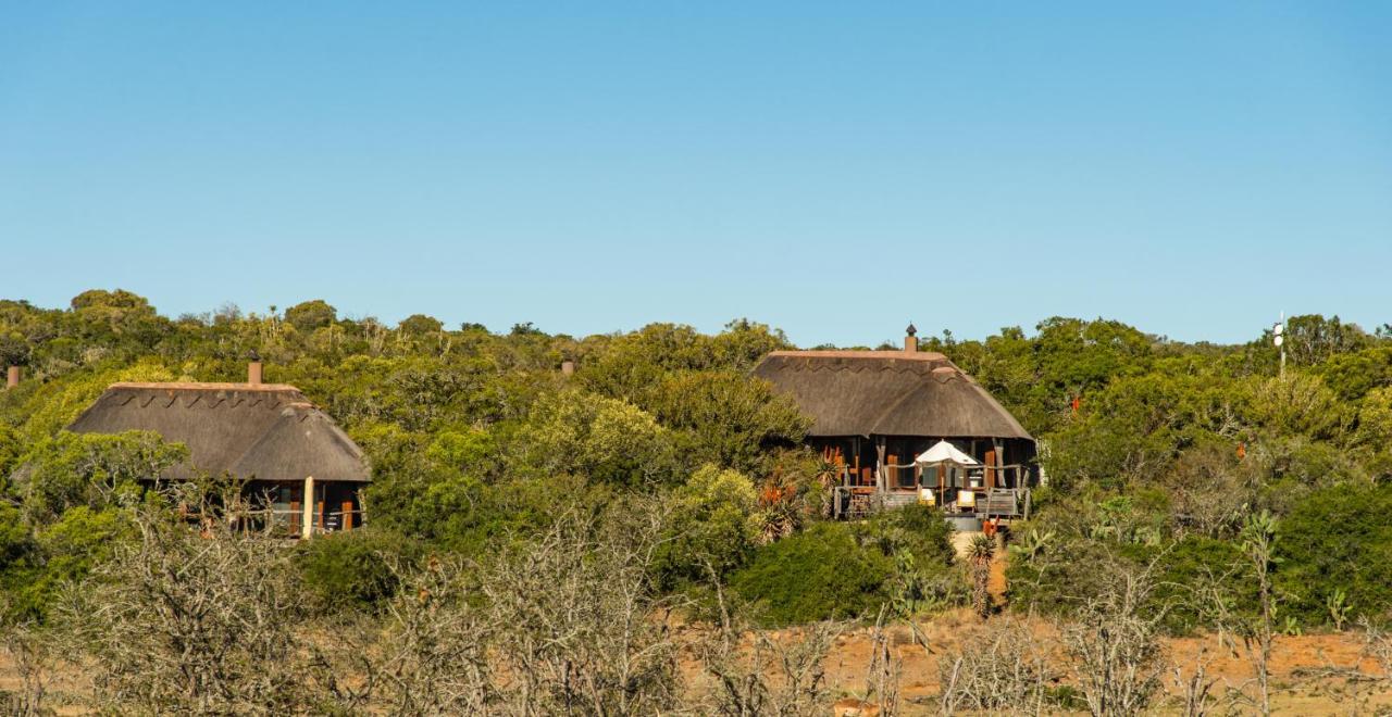 Pumba Private Game Reserve Grahamstown Eksteriør billede